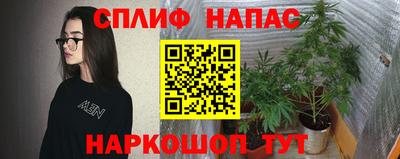 кокс Берёзовский