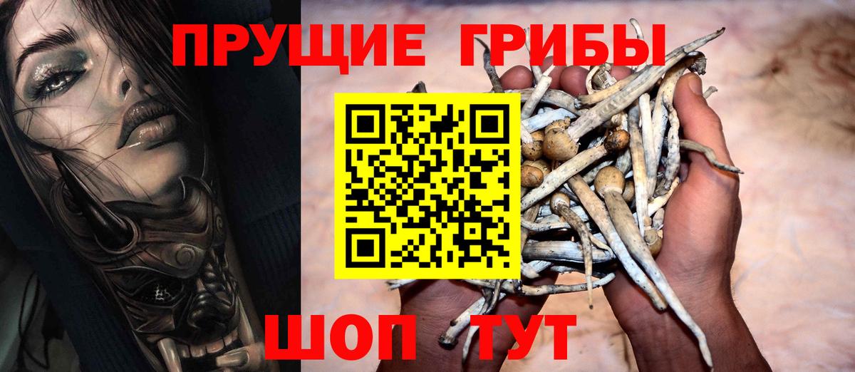 Галлюциногенные грибы мицелий  Псилоцибиновые грибы мицелий  Вход с VPN  Камышин 