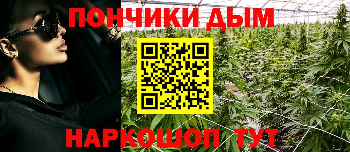 Бошки марихуана семена Камышин